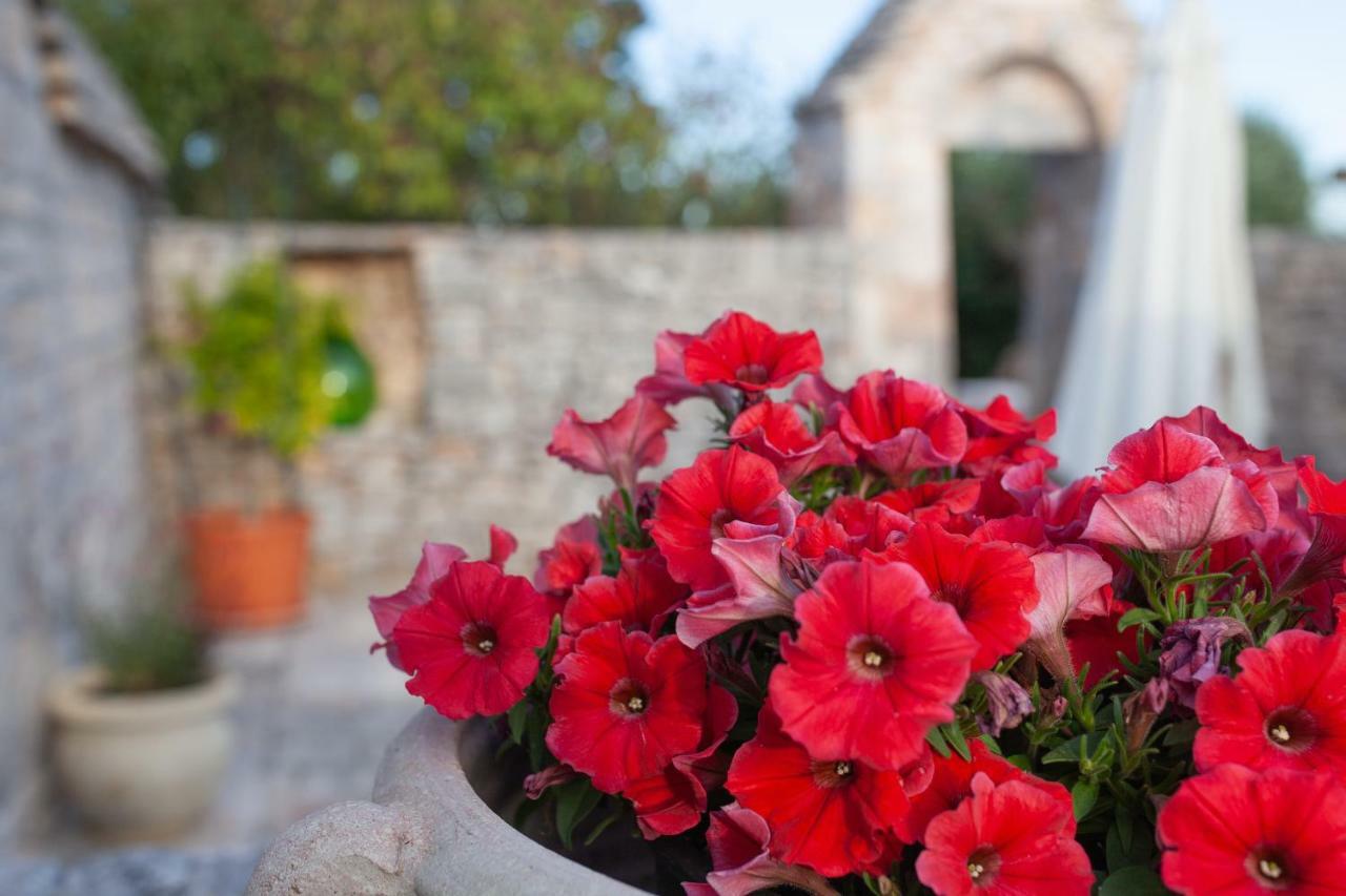 Trullo Siamese